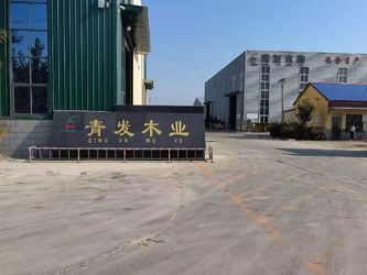 China Heze Qingfa Enterprises Co., Ltd.