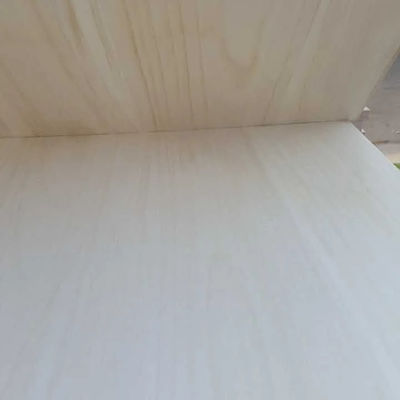 Tamanho personalizado Paulownia Madeira Finger Joint Board com madeira maciça em cor natural