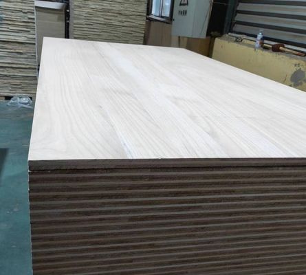 Painel de mesa de madeira de Paulownia certificado pela FSC em 2440x1220 ou 1200x600 ou tamanho personalizado