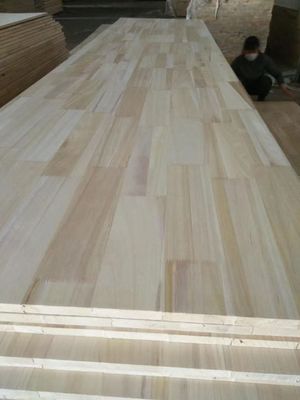 2000mm/2440mm/2500mm/3050mm/3660mm comprimento Paulownia painel reto