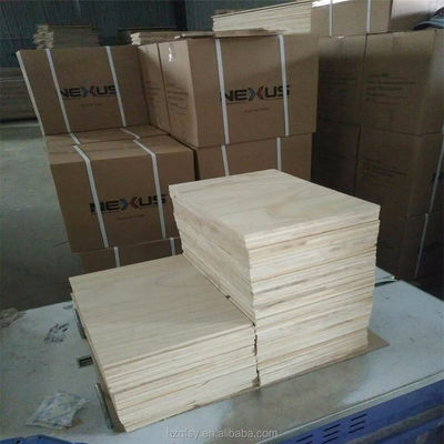 Vende diretamente Paulownia Madeira Taekwondo Treinamento Grau Tabuleiro de quebra 100-1220mm Largura