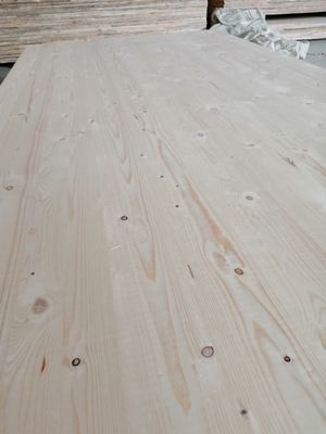 Painel de madeira de abeto contemporâneo com teor de umidade de 8-12% 1220*2440mm