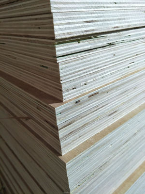 Painel de madeira de abeto contemporâneo com teor de umidade de 8-12% 1220*2440mm