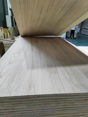 Placas de mobiliário de duas camadas com madeira de Paulownia e painéis de madeira de alta densidade