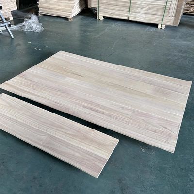 Página inicial Capacidade de solução de projectos Outros Paulownia