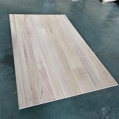 Página inicial Capacidade de solução de projectos Outros Paulownia