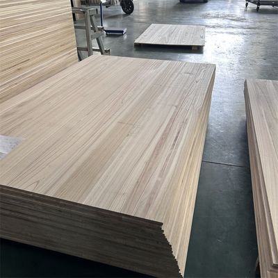 Página inicial Capacidade de solução de projectos Outros Paulownia