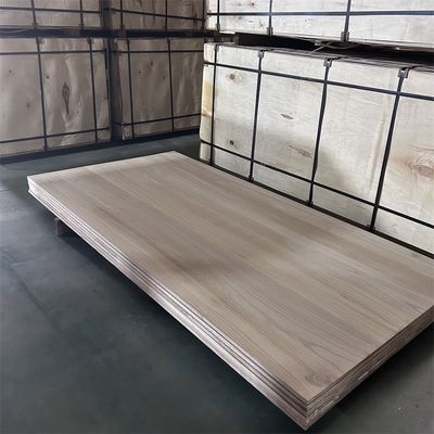 Página inicial Capacidade de solução de projectos Outros Paulownia