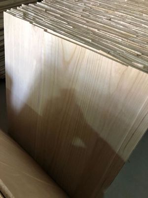 2440x1220 ou 1200x600 Tamanho 12 mm Painel de madeira de Paulownia comprimido com certificado FSC