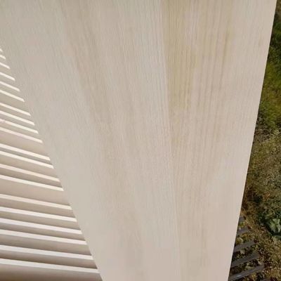 Painéis de madeira colados de Paulownia Espessura 16 mm Para sala de estar